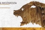 Zakup biletów online już możliwy